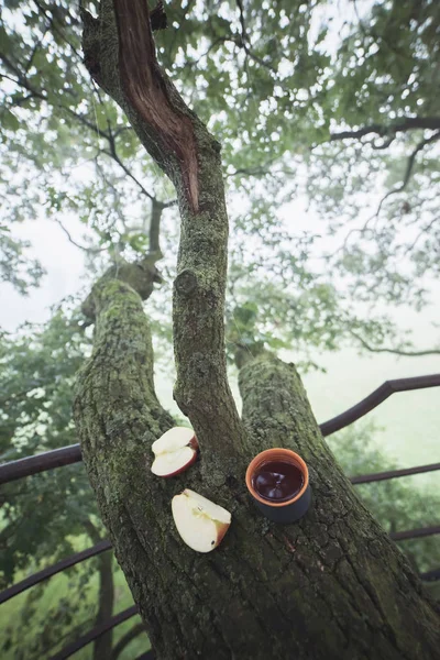 Części apple i filiżankę herbaty — Zdjęcie stockowe