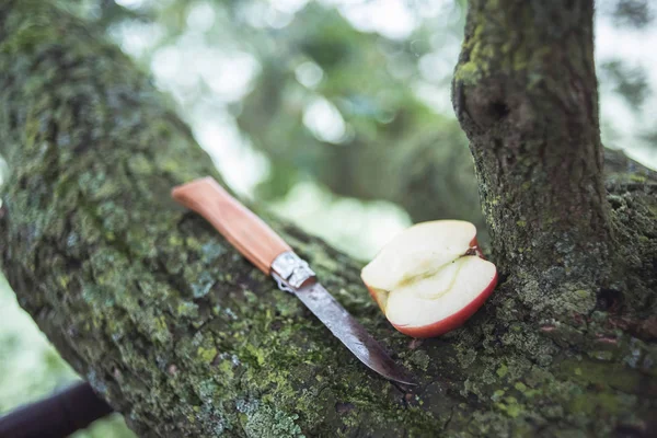 Knife and part of apple — Stock Photo, Image