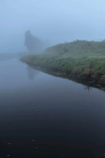 Stream με δέντρα στην ομίχλη — Φωτογραφία Αρχείου