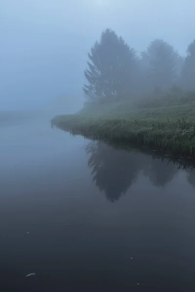 Stream met bomen in de mist — Stockfoto