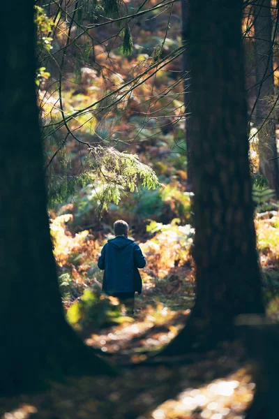 Homme dans la forêt d'automne — Photo