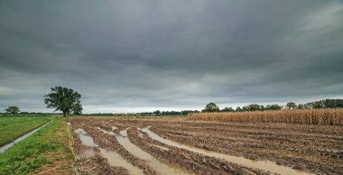 Yağmur suyu ile lastik izleri  