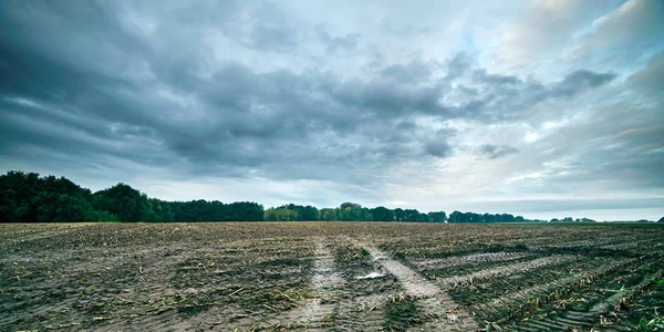 Pneus dans les champs arables — Photo