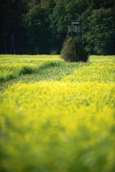 Posto di caccia in campo — Foto Stock