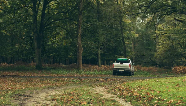 Truck parked in autumn forest — Stock Photo, Image