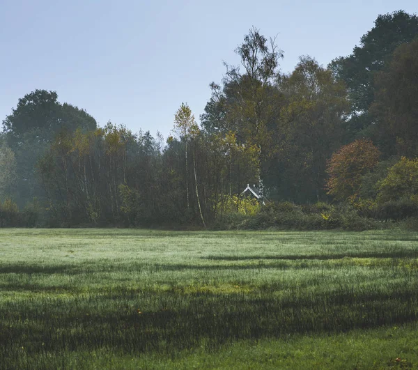 Casa minúscula na floresta de outono — Fotografia de Stock