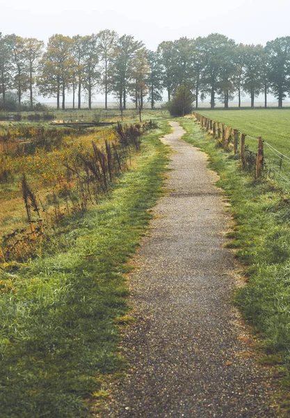 Walking path in misty rural landscape — Stock Photo, Image