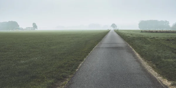 霧のオランダの田舎の道 — ストック写真