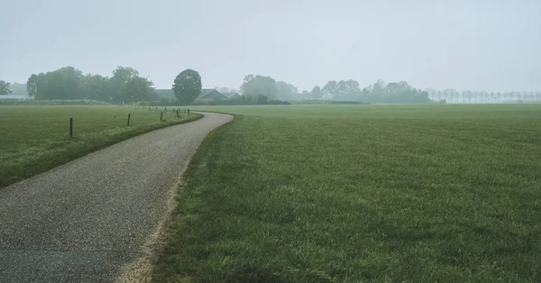 Road in misty dutch countryside — Stock Photo, Image