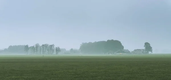 Misty ολλανδικό αγροτικό τοπίο — Φωτογραφία Αρχείου