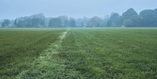 Misty field in rural landscape — Stock Photo, Image