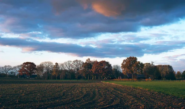 Őszi Vidéki Táj Fák Felszántott Land Naplemente Felhős — Stock Fotó