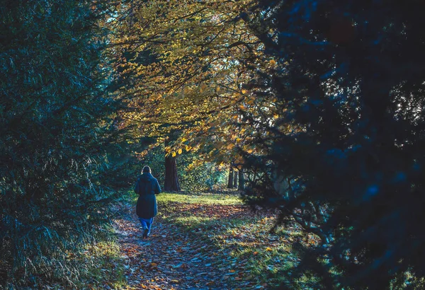 A kerti ösvény-ban erdő nő — Stock Fotó