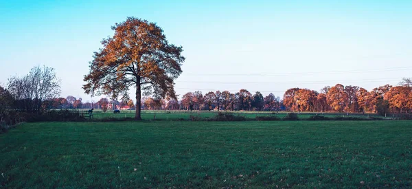 Venkovská krajina s podzimní stromy — Stock fotografie