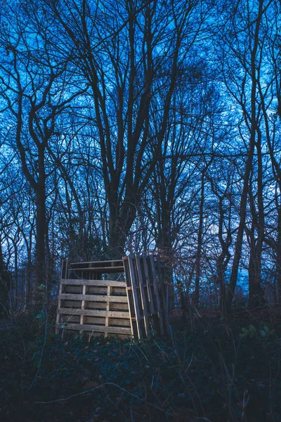 Cabane en bois dans la forêt — Photo