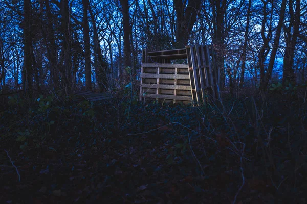 Cabana de madeira na floresta — Fotografia de Stock