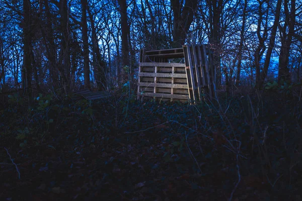 Trä koja i skogen — Stockfoto