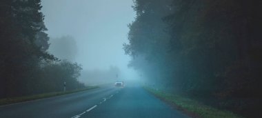 Sisli sonbahar ormandaki yolda araba 