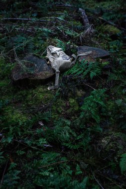 Kayıp vintage yeşil sırt çantası 