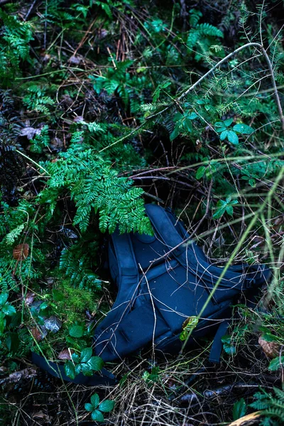 Sac à dos noir entre les buissons — Photo