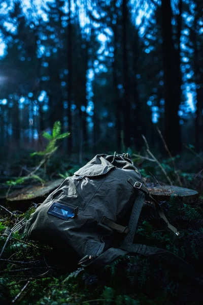 Mochila verde perdida no toco da árvore — Fotografia de Stock