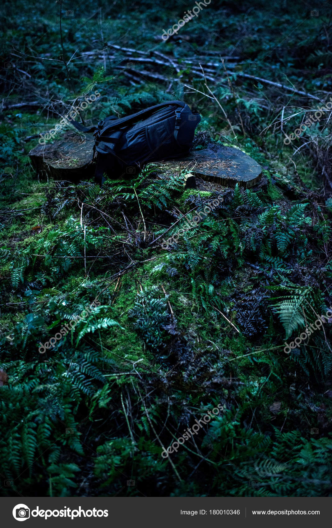Lost backpack on stump — Stock Photo © ysbrand 180010346