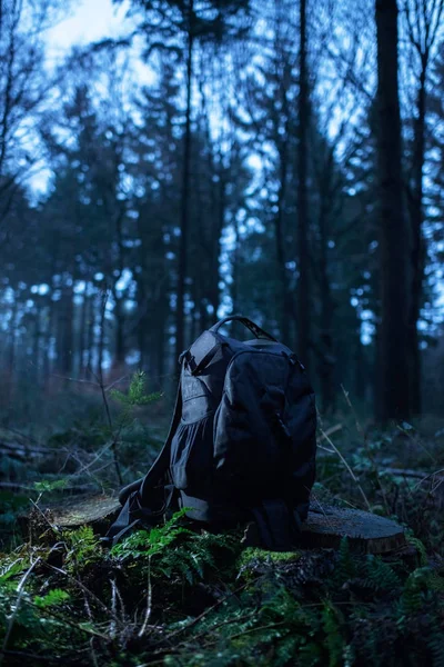 Lost backpack on tree stump — Stock Photo, Image