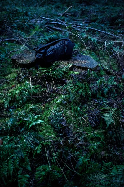 Lost backpack on stump — Stock Photo, Image