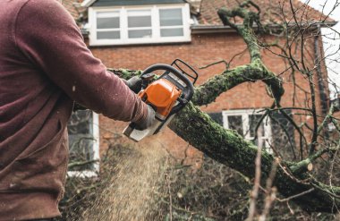 Arborist chainsawing adet ahşap 