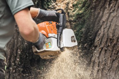Arborist testere kesme ağaç