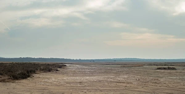 Brede vlakte met zand en Heide — Stockfoto