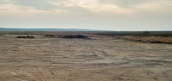砂とヘザーの曠野 — ストック写真