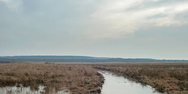 Bevroren Venen in brede Heide — Stockfoto