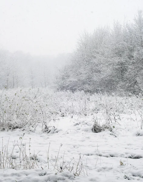 Inverno campo nevado — Fotografia de Stock
