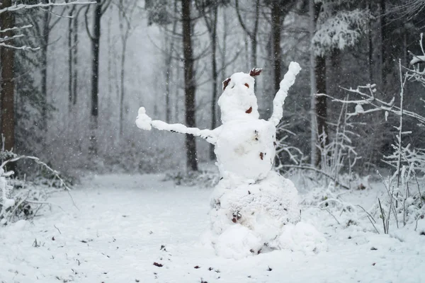 冬天松林里的雪人 — 图库照片