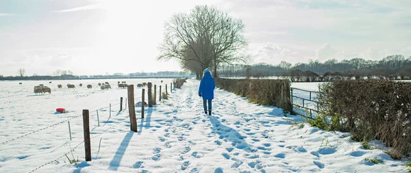 Woman walking on road — Stock Photo, Image