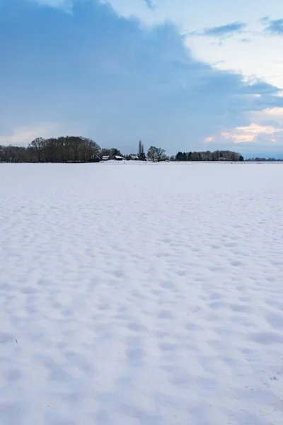 Campo nevado holandês — Fotografia de Stock