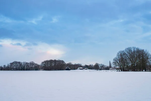 Holenderski pejzaż śnieżny — Zdjęcie stockowe