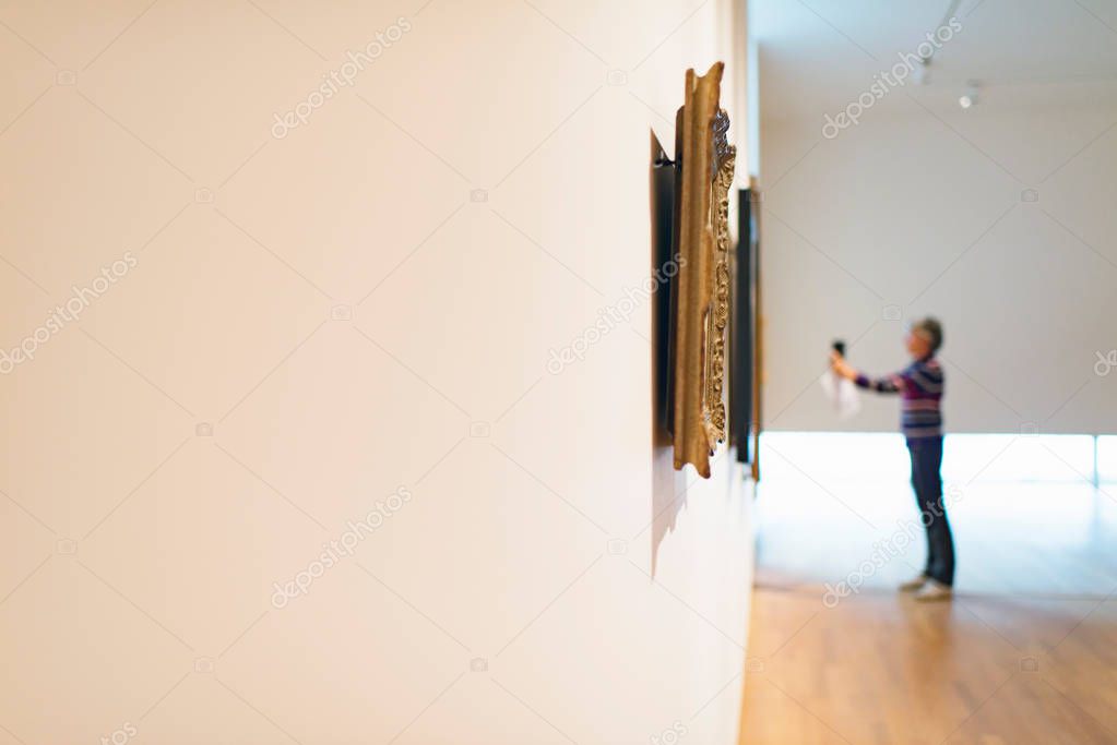 Visitor taking pictures of artwork  