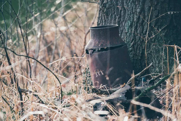 Vintage rusty iron milk can against tree trunk in countryside. — Stock Photo, Image