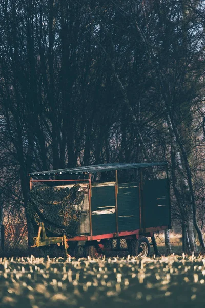 Винтажный грузовик для крупного рогатого скота, припаркованный на краю поля, используемый как олень ватчи — стоковое фото