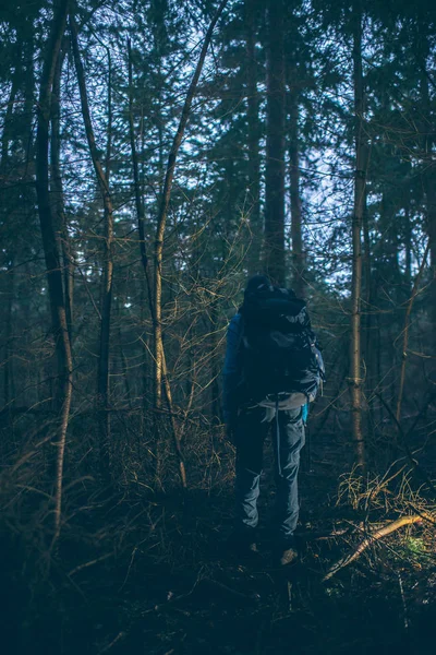 Backpacker hiking in winter forest — Stock Photo, Image