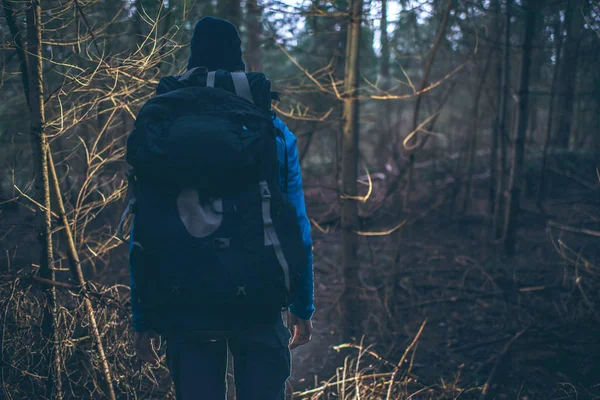 Backpacker kış ormanda hiking. — Stok fotoğraf