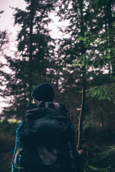 Caminhadas de mochileiros na floresta de inverno — Fotografia de Stock