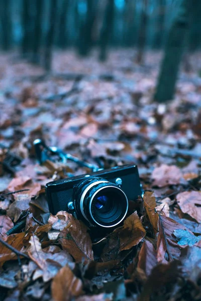 Câmera fotográfica perdida deitada nas folhas — Fotografia de Stock