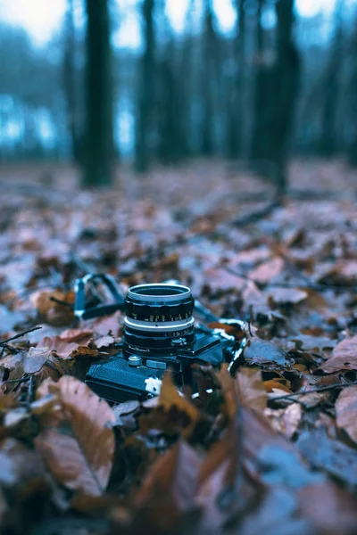 Appareil photo perdu couché sur les feuilles — Photo