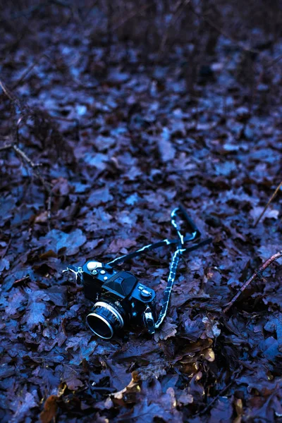 Cámara vintage en terreno forestal —  Fotos de Stock