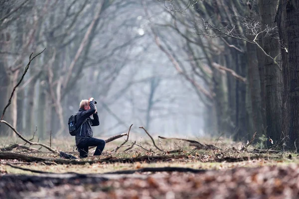 Floresta de inverno com fotógrafo — Fotografia de Stock