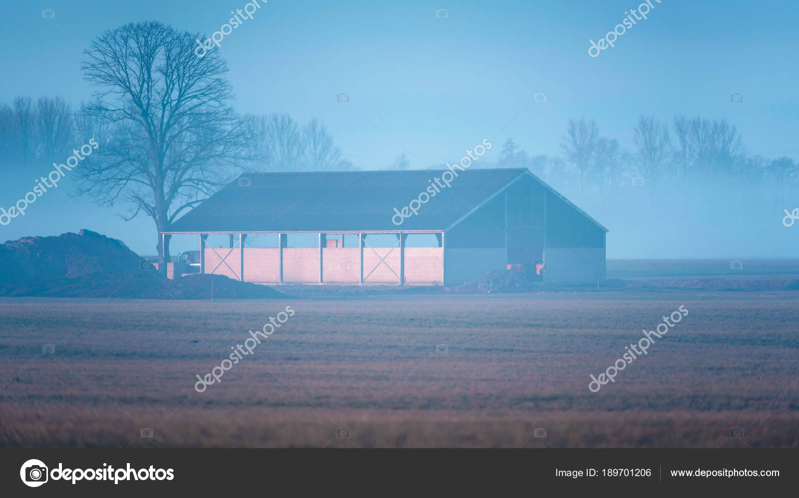 Cowshed and bare winter tree — Stock Photo © ysbrand 189701206