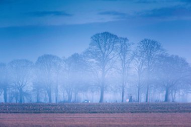 Puslu kırsal manzara  